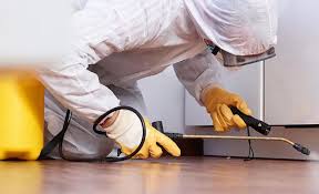 Best Termite Inspection and Treatment  in Lincoln, NE